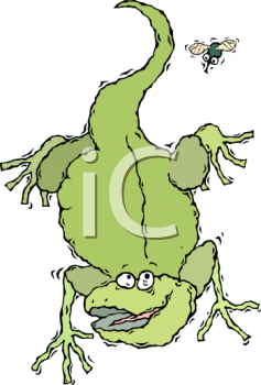 Lizard Clipart