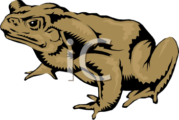 Amphibians Clipart