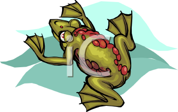 Amphibians Clipart