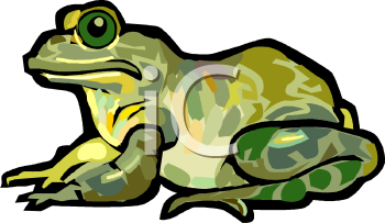 Amphibians Clipart