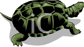 Lizard Clipart