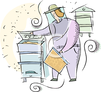 Insect Clipart
