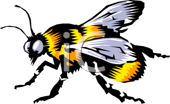 Insect Clipart