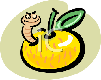 Insect Clipart
