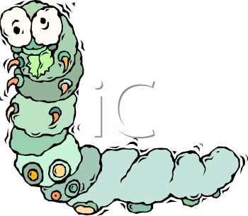 Insect Clipart