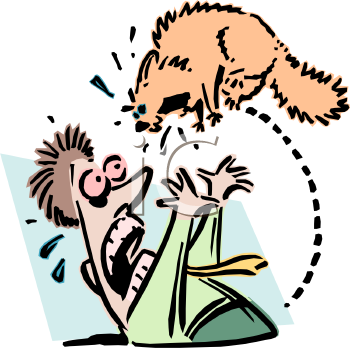 Cartoon Clipart