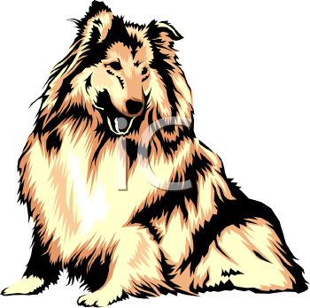 Pet Clipart