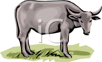 Farm Animal Clipart