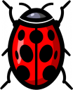 Beetle Clipart