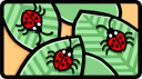 Beetle Clipart