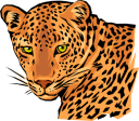 Big Cat Clipart
