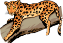Big Cat Clipart