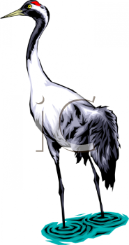 Bird Clipart