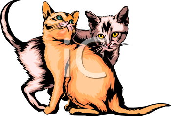 Pet Clipart