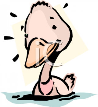 Cartoon Clipart