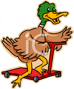 Bird Clipart