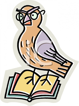 Bird Clipart