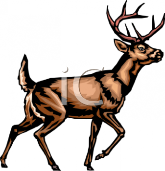 Nature and Scenic Clipart