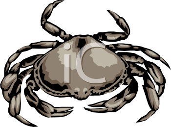 Fish and Sea Life Clipart