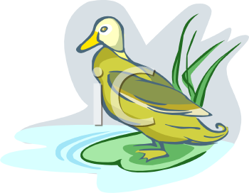Bird Clipart