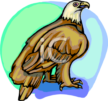 Bird Clipart