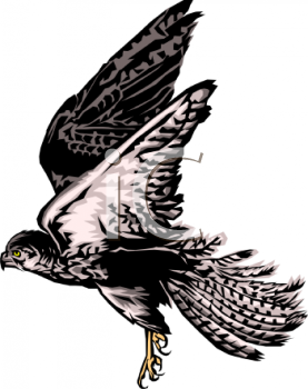 Bird Clipart