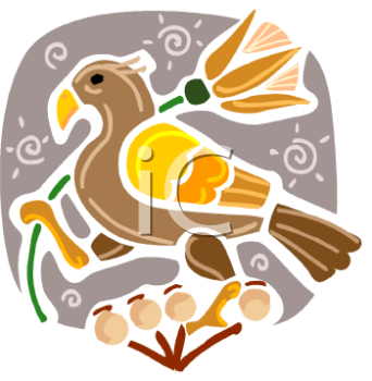 Bird Clipart
