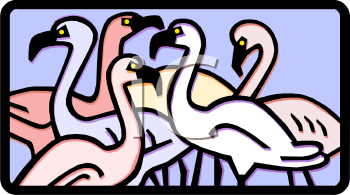 Bird Clipart
