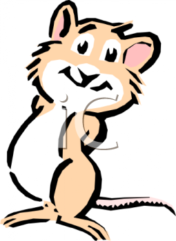 Rodent Clipart