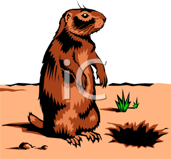 Pet Clipart