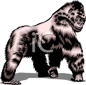 Primate Clipart
