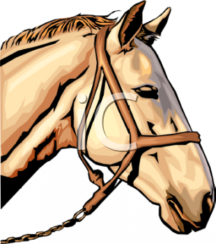 Horse Clipart