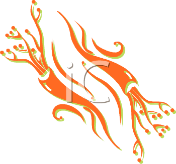 Mollusk Clipart