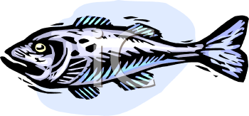 Fish and Sea Life Clipart