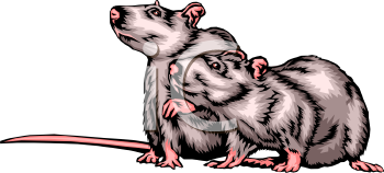 Rodent Clipart