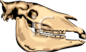 Science Clipart