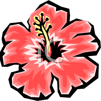 Daisies+flowers+clipart