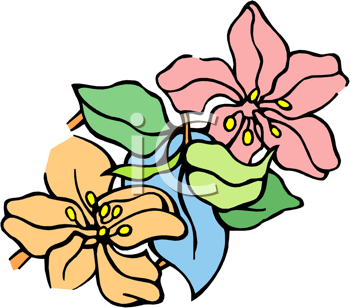 Daisies+flowers+clipart