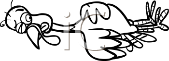 Bird Clipart
