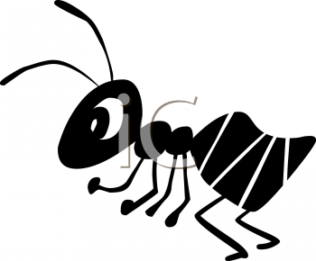 Insect Clipart