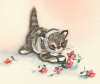 Pet Clipart