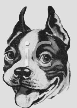 Pet Clipart