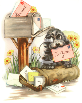 Pet Clipart