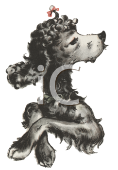 Pet Clipart