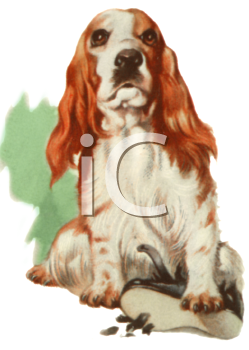 Dog Clipart