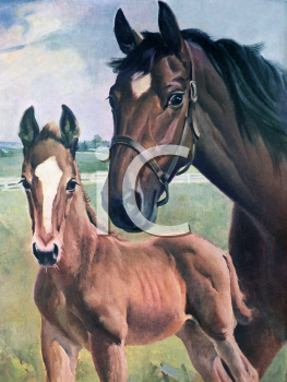 Horse Clipart