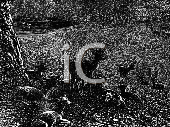Nature and Scenic Clipart
