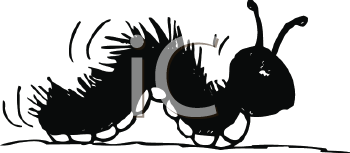 Insect Clipart