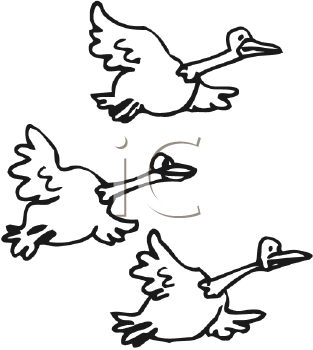 Insect Clipart