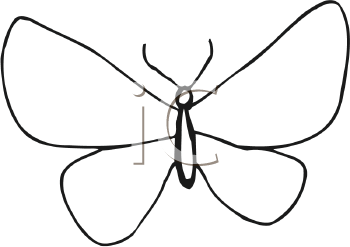 Insect Clipart